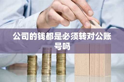 公司的钱都是必须转对公账号吗