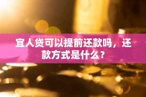 宜人贷可以提前还款吗，还款方式是什么？