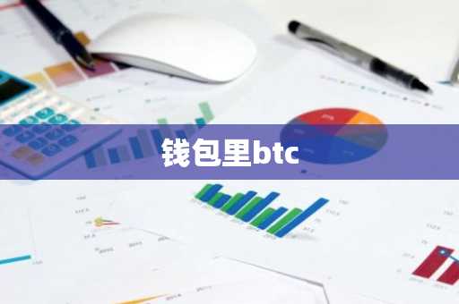 钱包里btc