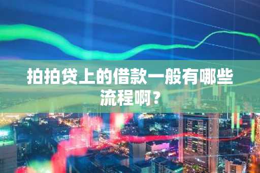 拍拍贷上的借款一般有哪些流程啊？