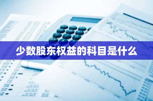 少数股东权益的科目是什么