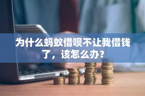 为什么蚂蚁借呗不让我借钱了，该怎么办？