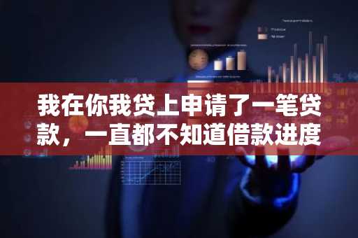 我在你我贷上申请了一笔贷款，一直都不知道借款进度如何，你我贷怎么查贷款进度？