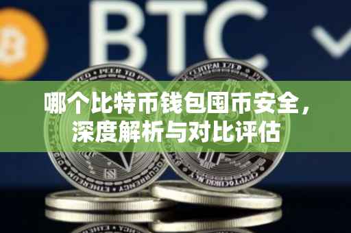 哪个比特币钱包囤币安全，深度解析与对比评估