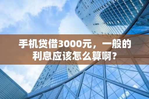 手机贷借3000元，一般的利息应该怎么算啊？