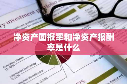 净资产回报率和净资产报酬率是什么