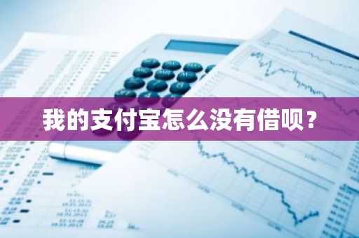 我的支付宝怎么没有借呗？