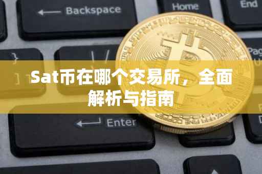 Sat币在哪个交易所，全面解析与指南