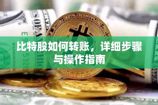 比特股如何转账，详细步骤与操作指南