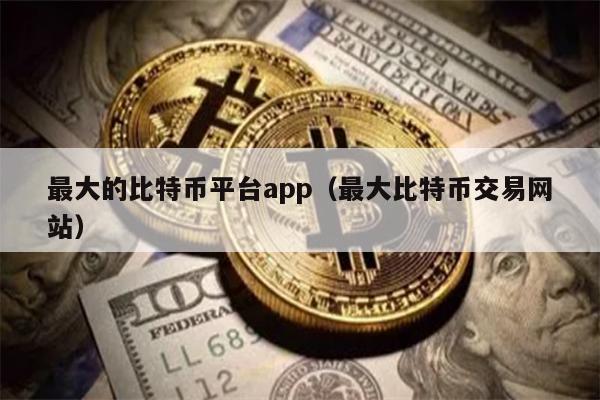 最大的比特币平台app（最大比特币交易网站）