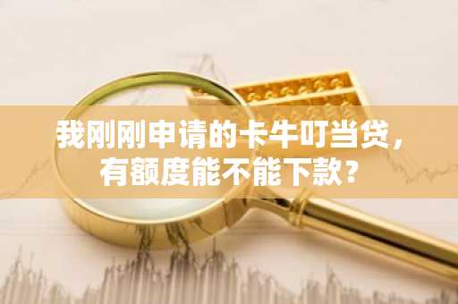 我刚刚申请的卡牛叮当贷，有额度能不能下款？