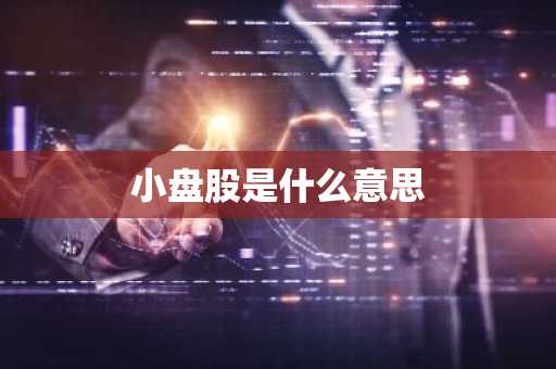 小盘股是什么意思