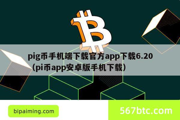 pig币手机端下载官方app下载6.20（pi币app安卓版手机下载）