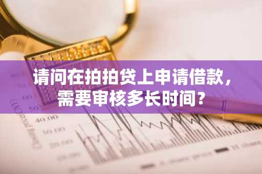 请问在拍拍贷上申请借款，需要审核多长时间？