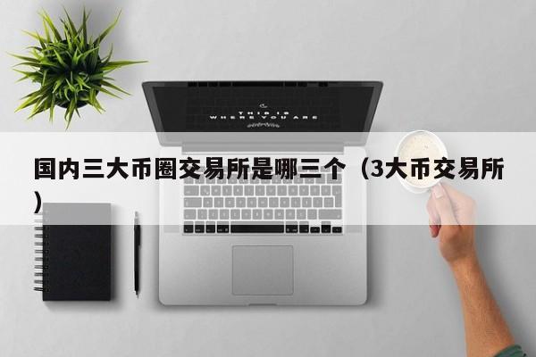 国内三大币圈交易所是哪三个（3大币交易所）