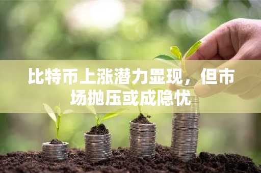 比特币上涨潜力显现，但市场抛压或成隐忧