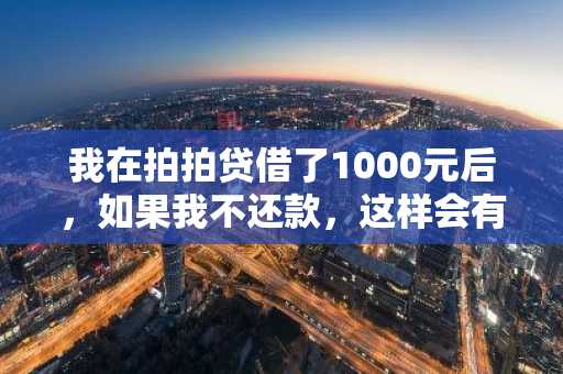 我在拍拍贷借了1000元后，如果我不还款，这样会有什么后果啊？