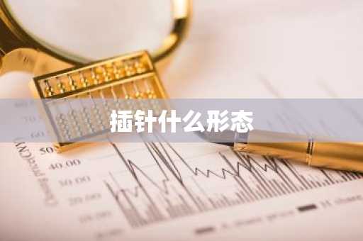 插针什么形态