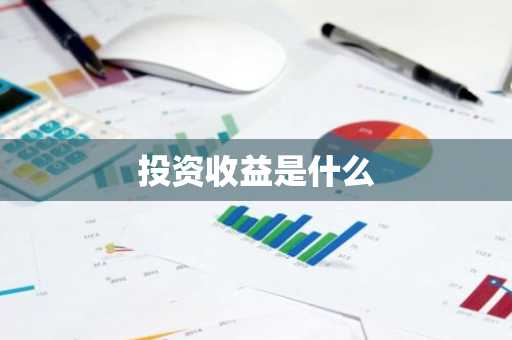 投资收益是什么