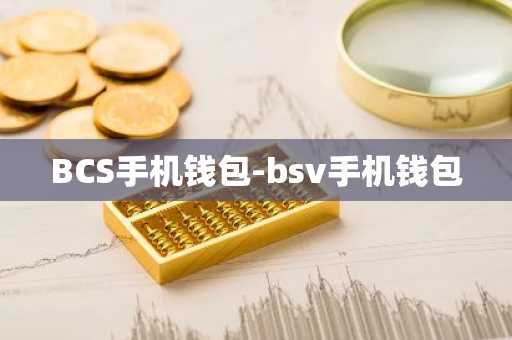BCS手机钱包-bsv手机钱包