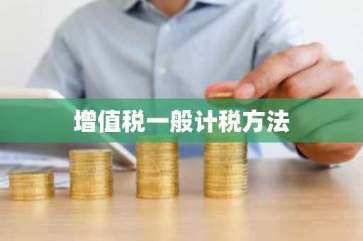 增值税一般计税方法