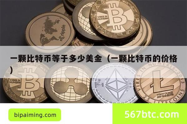 一颗比特币等于多少美金（一颗比特币的价格）