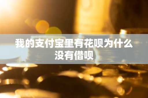 我的支付宝里有花呗为什么没有借呗