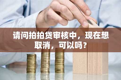 请问拍拍贷审核中，现在想取消，可以吗？