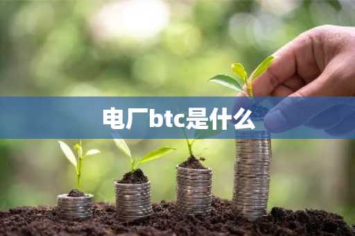 电厂btc是什么