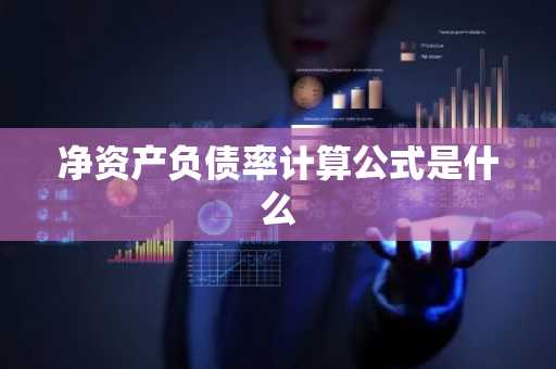 净资产负债率计算公式是什么