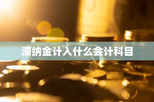滞纳金计入什么会计科目