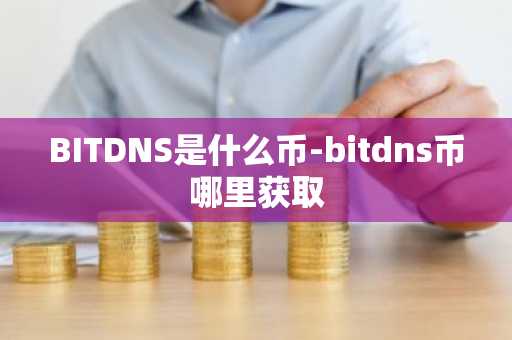 BITDNS是什么币-bitdns币哪里获取