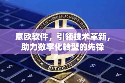 意欧软件，引领技术革新，助力数字化转型的先锋
