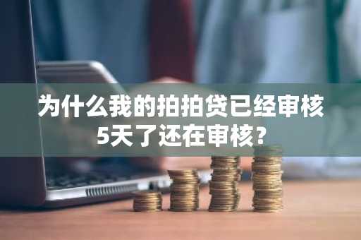 为什么我的拍拍贷已经审核5天了还在审核？