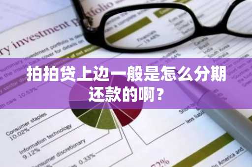 拍拍贷上边一般是怎么分期还款的啊？