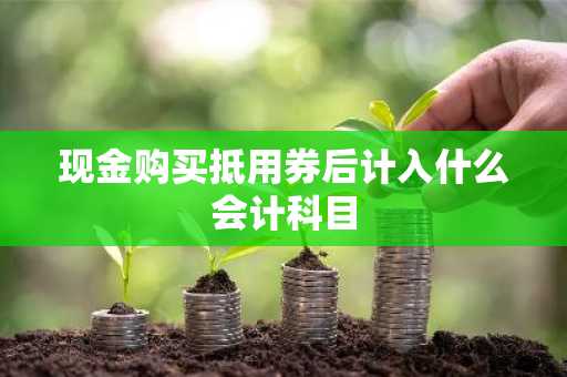现金购买抵用券后计入什么会计科目