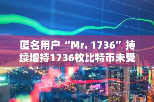 匿名用户“Mr. 1736”持续增持1736枚比特币未受价格波动影响