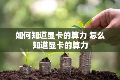 如何知道显卡的算力 怎么知道显卡的算力