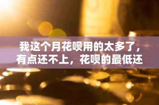 我这个月花呗用的太多了，有点还不上，花呗的最低还款额是多少？