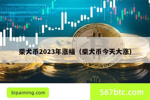 柴犬币2023年涨幅（柴犬币今天大涨）