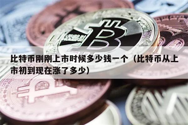 比特币刚刚上市时候多少钱一个（比特币从上市初到现在涨了多少）