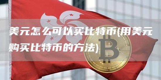 美元怎么可以买比特币 - 用美元购买比特币的方法