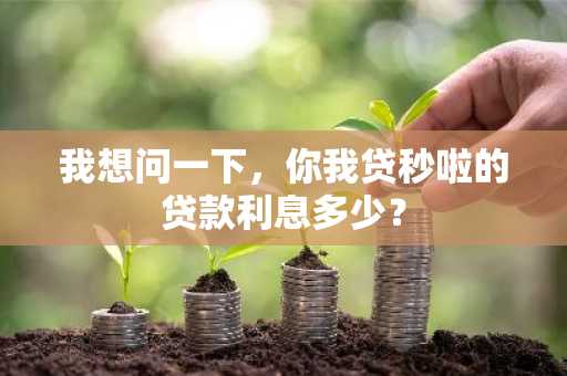 我想问一下，你我贷秒啦的贷款利息多少？