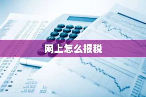 网上怎么报税