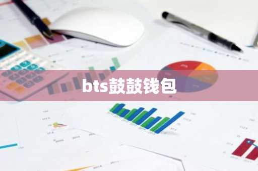 bts鼓鼓钱包