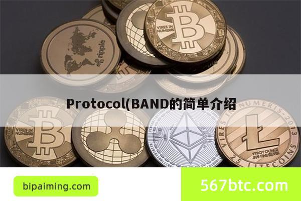 Protocol(BAND的简单介绍