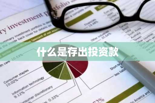 什么是存出投资款