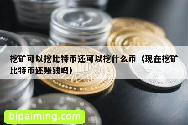 挖矿可以挖比特币还可以挖什么币（现在挖矿比特币还赚钱吗）