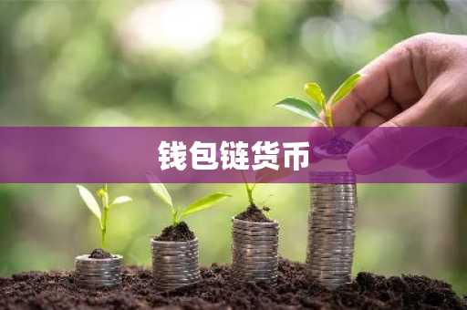 钱包链货币