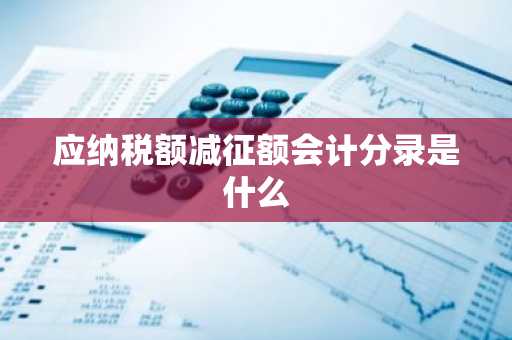 应纳税额减征额会计分录是什么